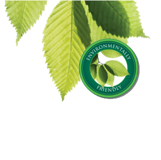 replacement windows can save you money and they're environmentally friendly