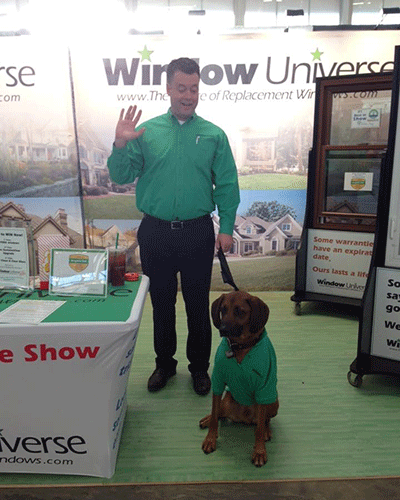 Energy efficient window replacement